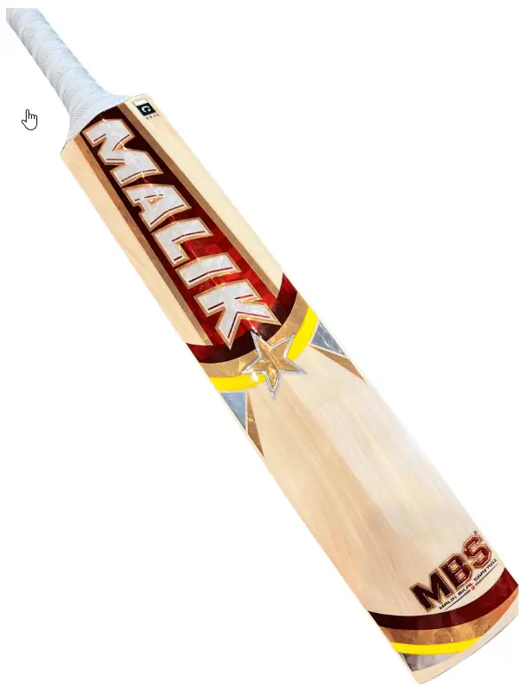 MBS Pro Edition_2.webp
