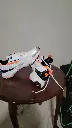 20250414_205519.webp