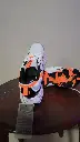 20250414_205503.webp