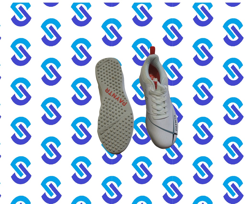 Payntr X Shoes