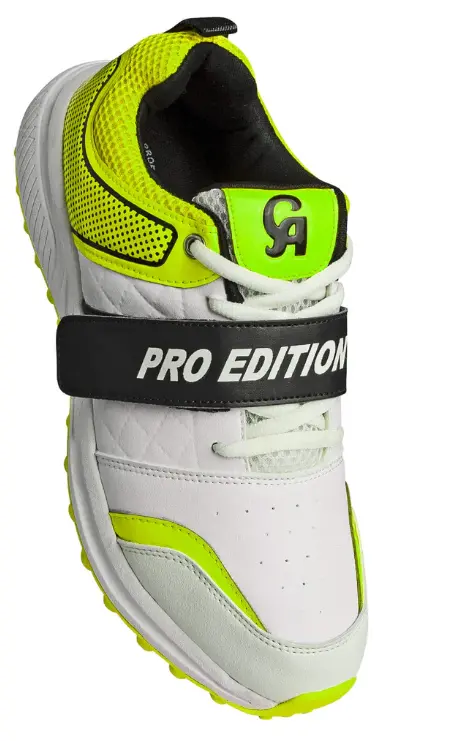 CA PRO Edition