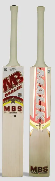 MBS Pro Edition