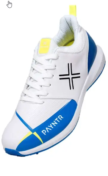 Payntr X Shoes