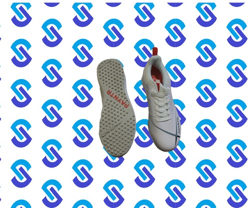 Payntr X Shoes