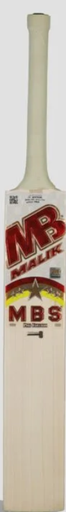 MBS Pro Edition