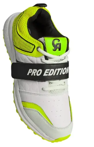 CA PRO Edition