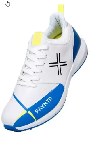 Payntr X Shoes